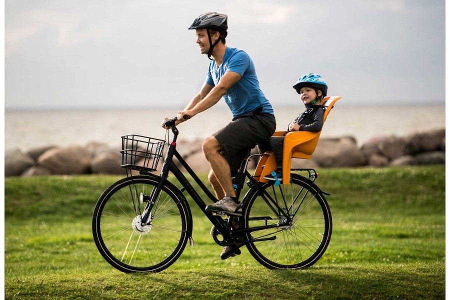 Sillas Thule Ride Along